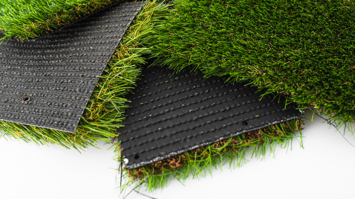 Beauty Grass